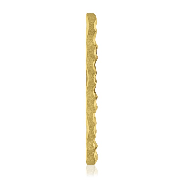 Titanium benplatta för EickLoxx Large, 11 x 4,3 mm 6-14 hål, guld